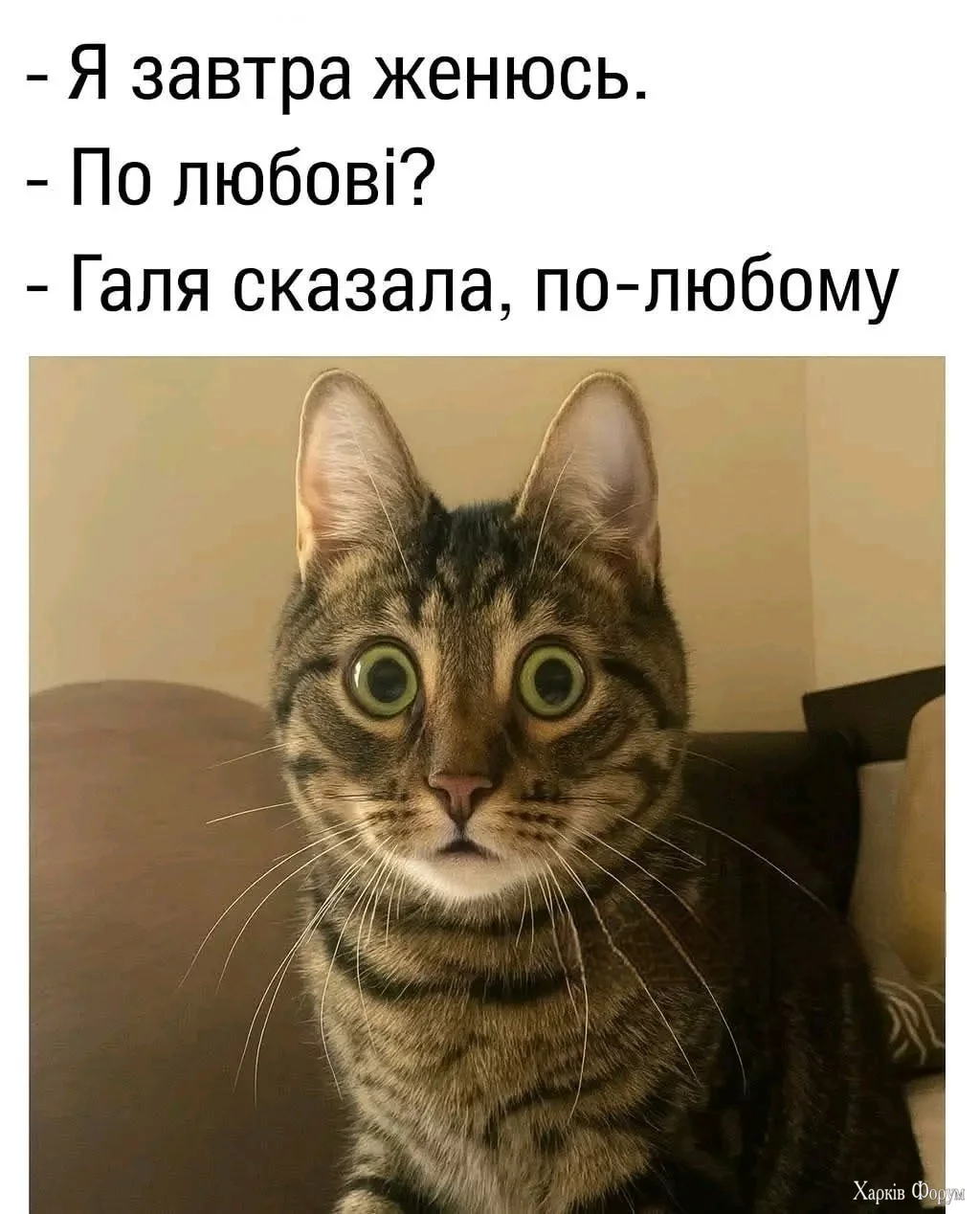 515495957_799623412391460_6792528449422079075_n.webp