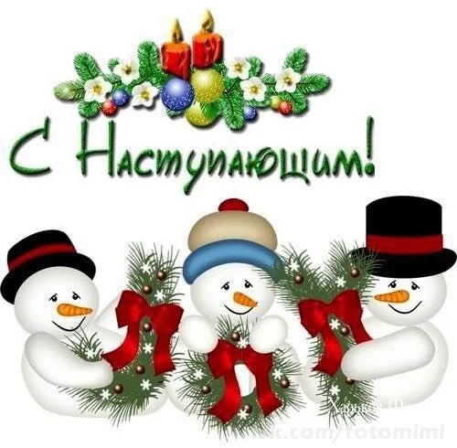 515db6edd50b5b29165.webp