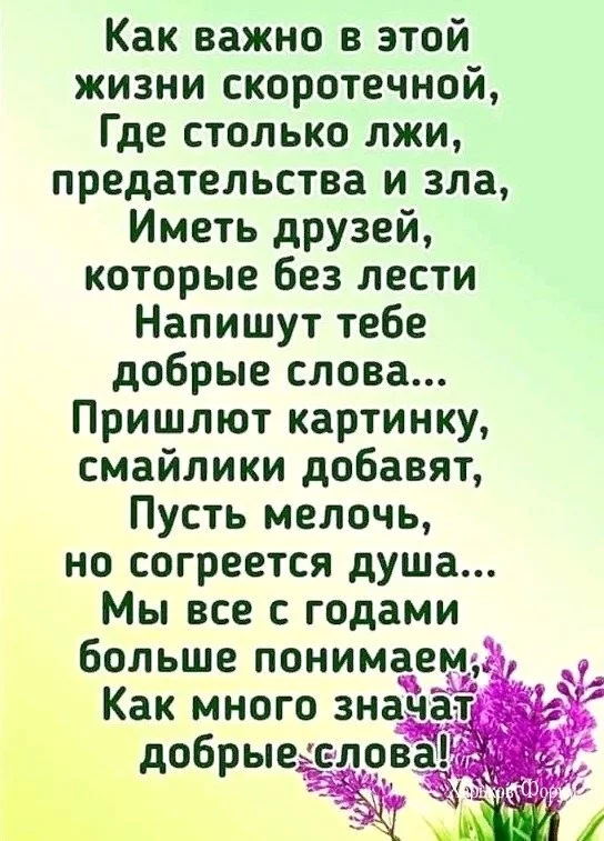 51654b570a64dc9a.webp