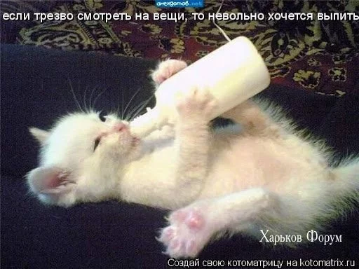 51669b94904eacc99c27b26.webp