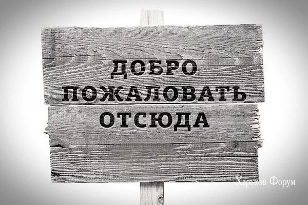 516904eac88b9259ead01d4.webp