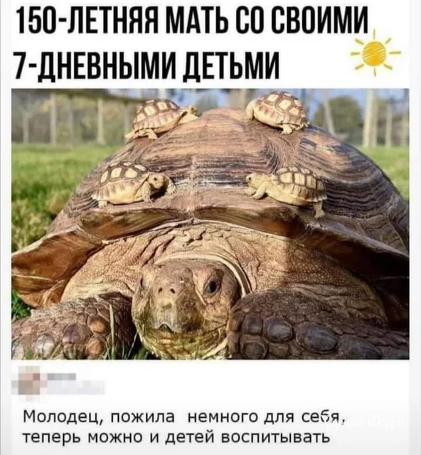 516b759d1d7caa029ecc83.webp