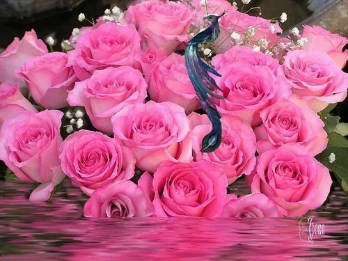 51733218.webp