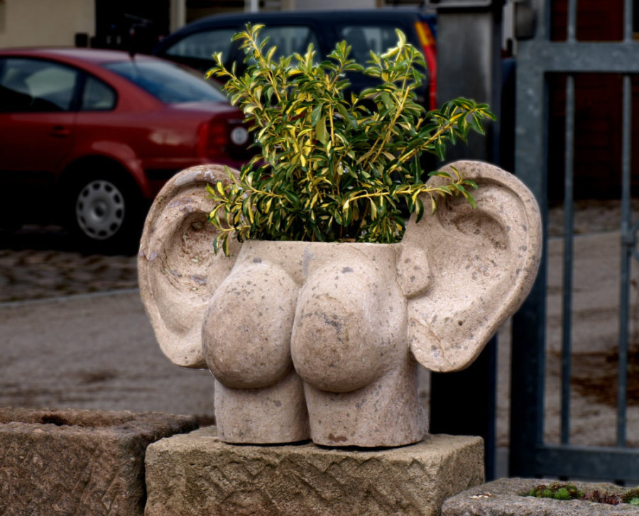 51940_900.jpg