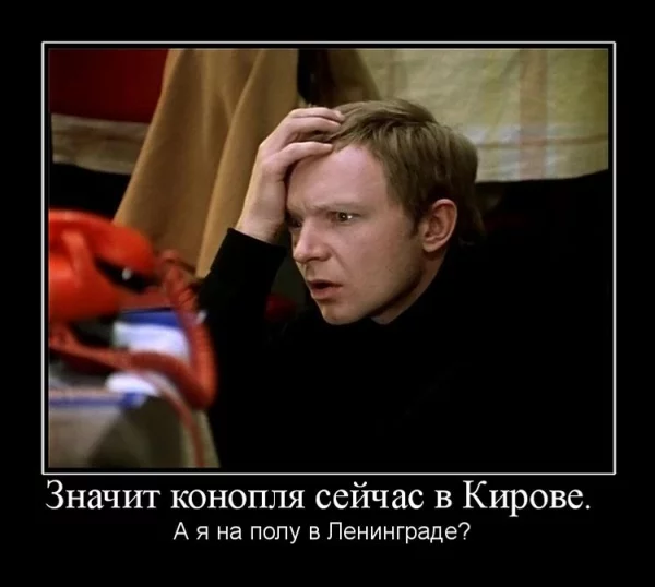 51951722.webp