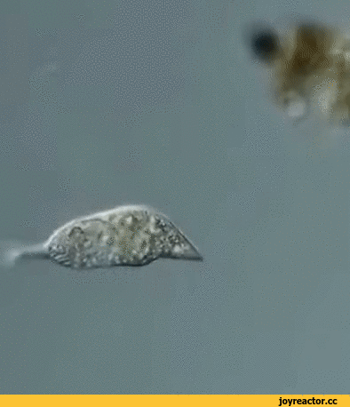 51ca5399270b6ebb866bae.gif