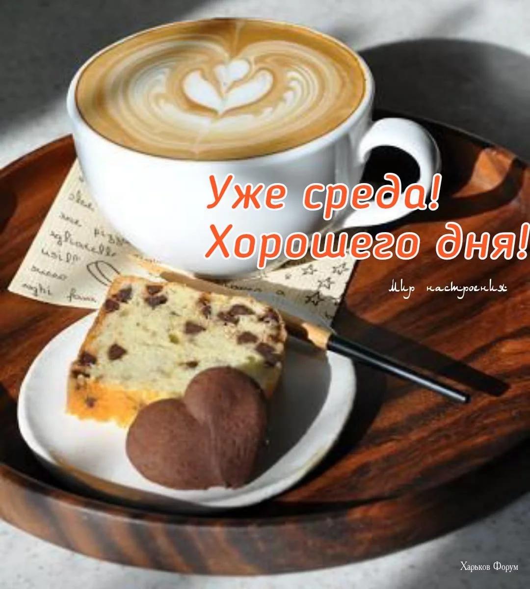 51ca89a1232e5682e1077b.webp