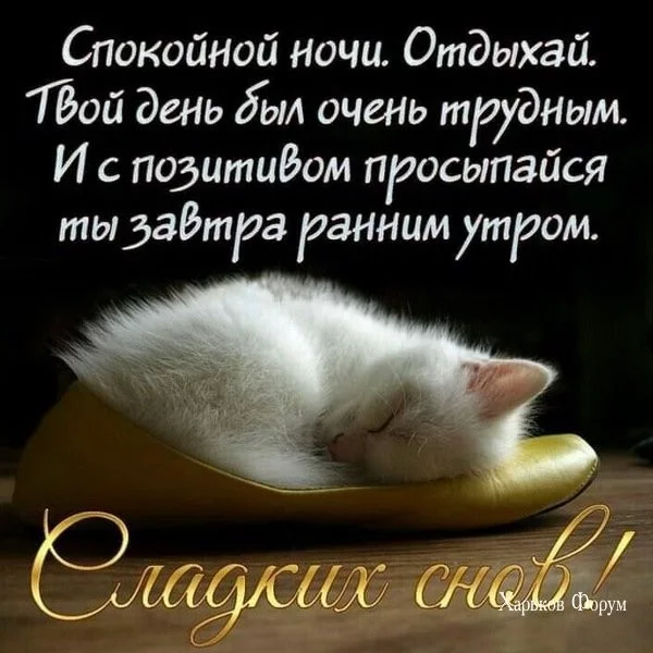51d0aec73626421e044ae653.webp