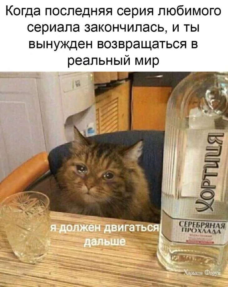 51d79c5dfd7e5561f9.webp