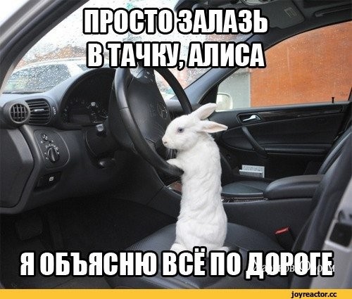 51de7ac300c34655f0e9a77a.jpg
