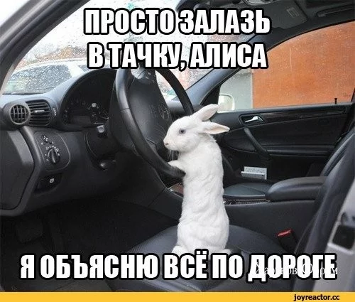 51de7ac300c34655f0e9a77a.webp