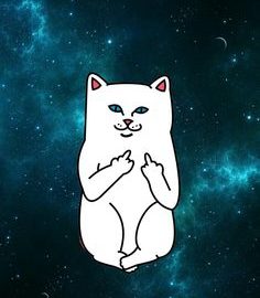 51e-wallpaper-iphone-cat-ripndip-wallpaper-236x270.jpg