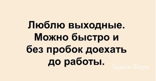 51e2c7369a22b3d69932.jpg