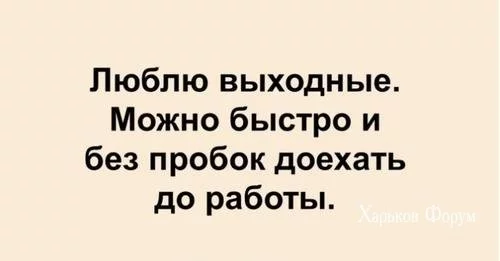 51e2c7369a22b3d69932.webp