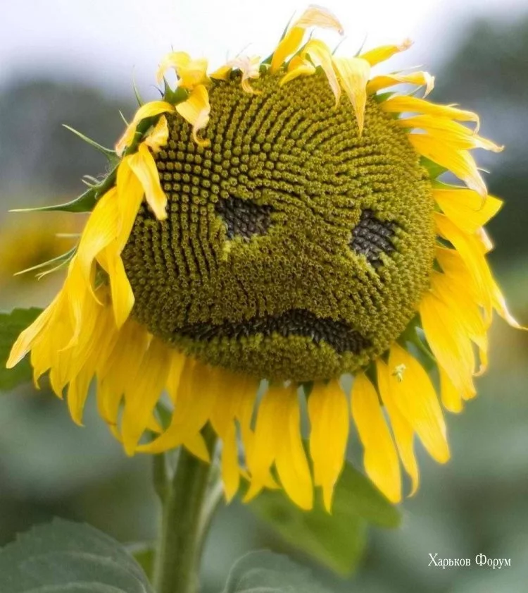 51e5db437c2c69125fa594.webp