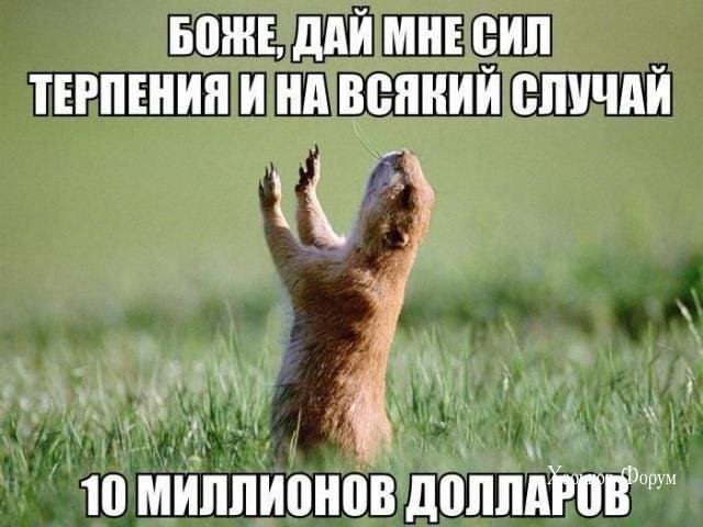 51f071db7173e62ddcb82b.jpg