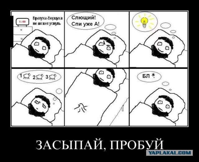 5203999.webp