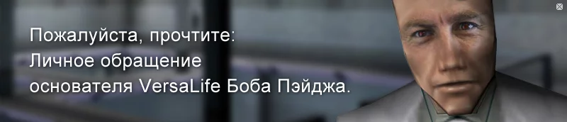 521.webp