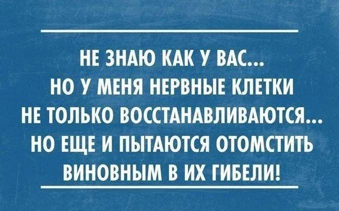52141197_2086943844753807_9171880472806948864_n.webp
