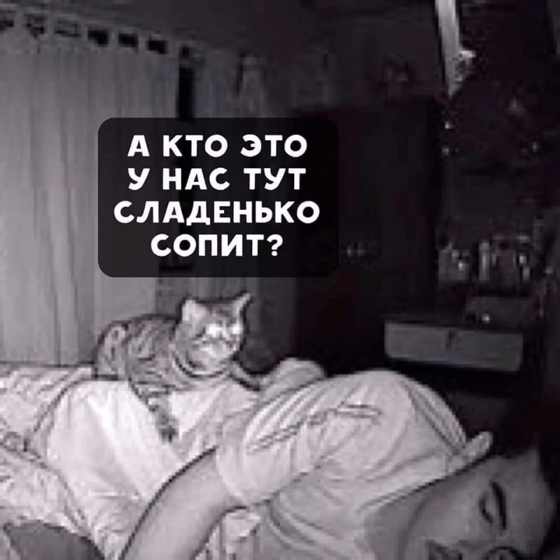 5221fde7e29e67bf92668.gif