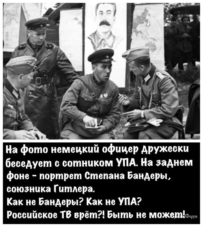 52291ff62ca2489981580b.webp