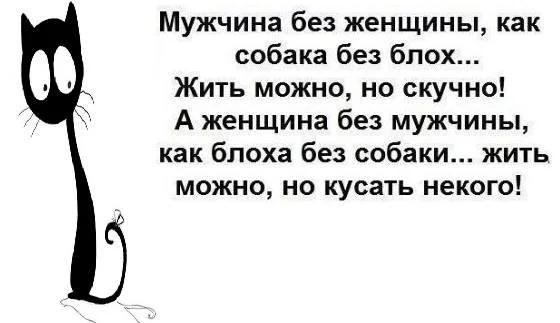 523d1744f30ab3fbb.webp