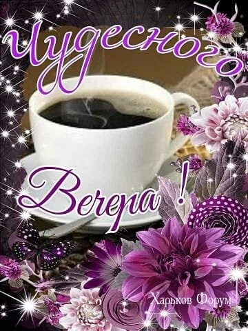 524b13cf2ded077393b9756.webp