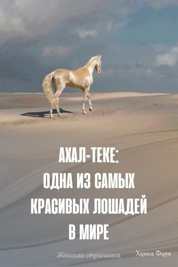 524bf45b06e81dbfa4c4c08.webp