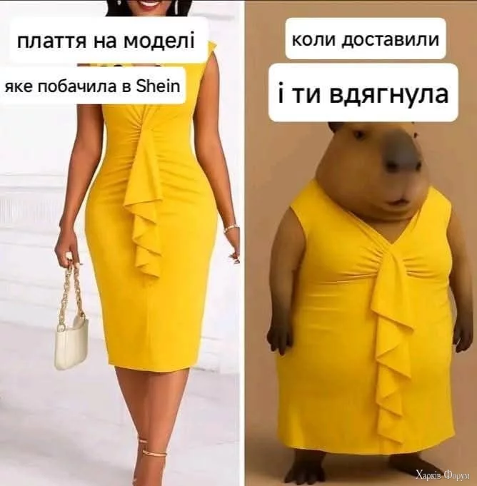 526588757_1956845195091788_3719767282414642002_n.webp