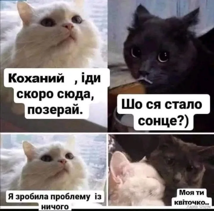 527391284_804147081939093_5546801830017188726_n.webp