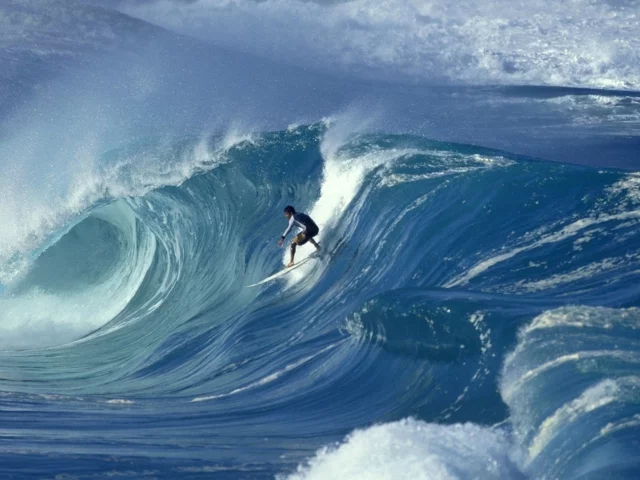 527a399a38668.webp