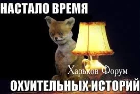 527aa6dad50f781a26867f.webp