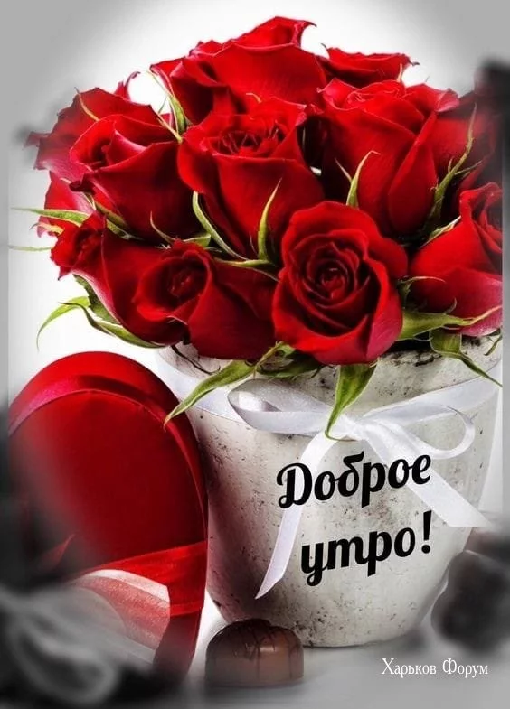 52959eb60194304e9b137.webp