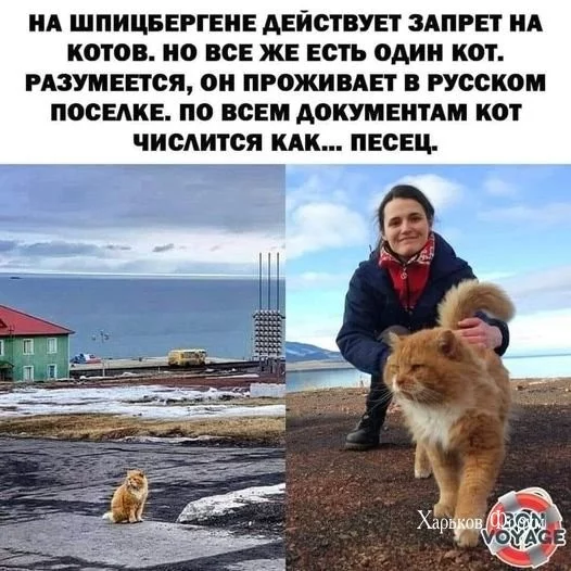52b28c5a6ab52faa.webp