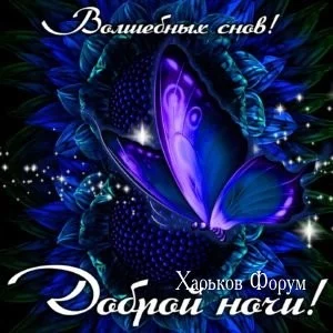 52c958c8d51c100054b.webp