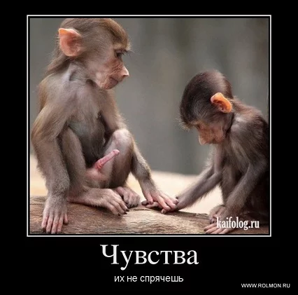 52c9d436df64e5abc71efff27ce6296b.webp