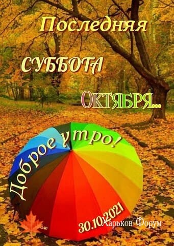 52e49db2821b718e0.jpg