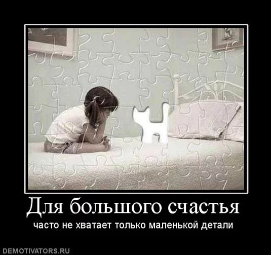 53015592.webp