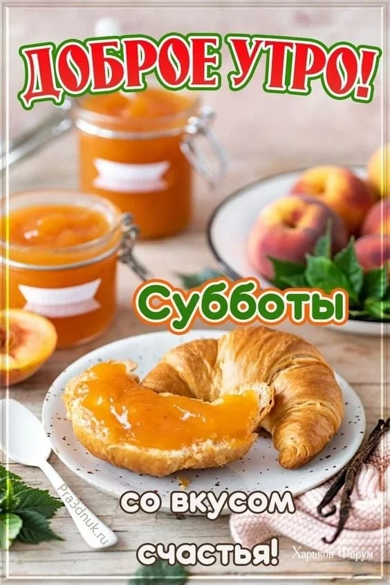 5308178495233e5da5.webp
