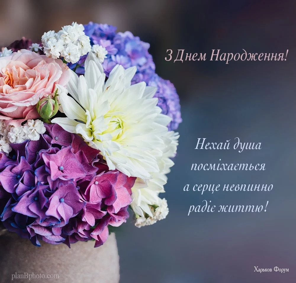 5318294d32ccfcc2b63b.webp