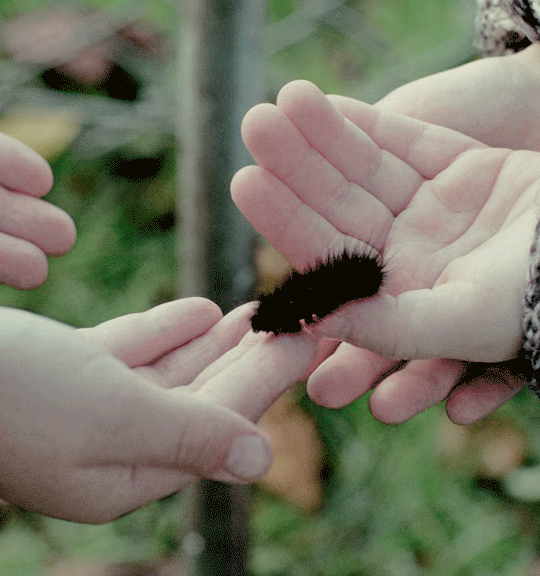 531ad7217d9bcb6a0728c7a4137f64467c133276.gif