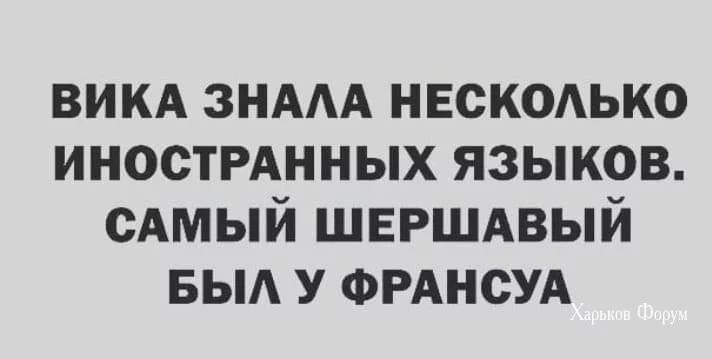 531f46229dcb4819bc6.webp