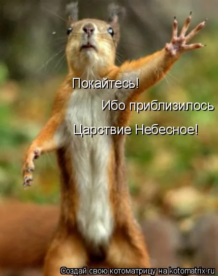 532259.webp