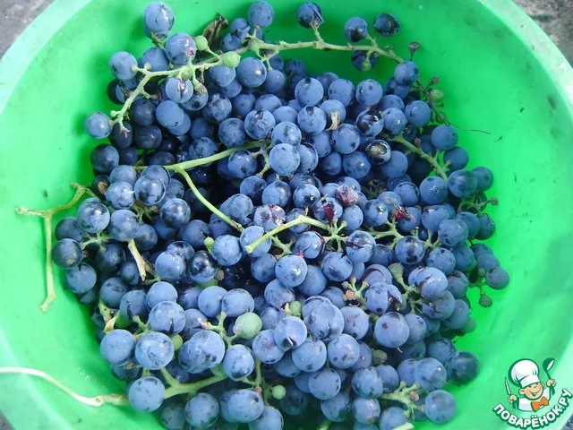 533872_89663-640x480.webp