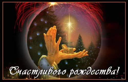 53397325_045f07acb73e.webp
