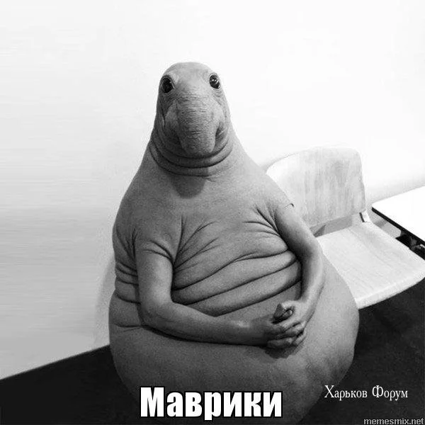 533b48c117ef3e6e1.webp