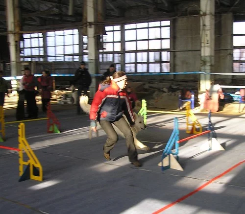 5342038703_a18ebd1574.webp
