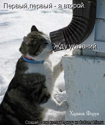 5346ade5fe462368ed1.webp