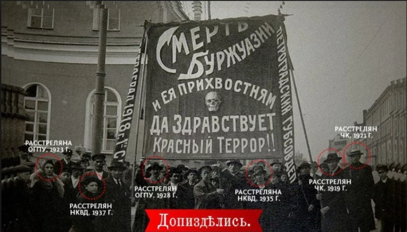 53502483_800.webp