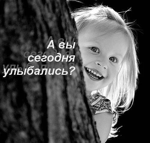 53541925_1263036361_i24.webp